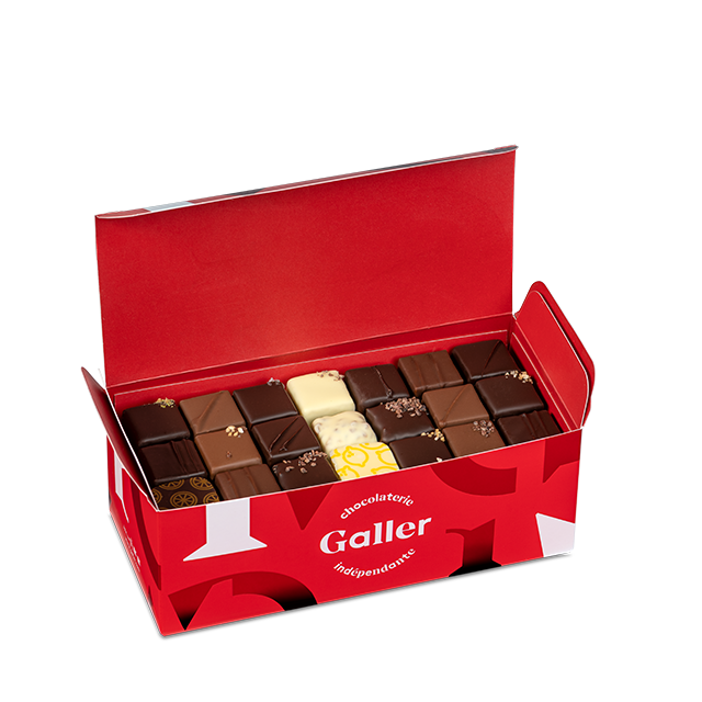 Ballotin - 63 Pralines - Assortiment